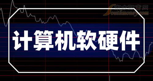 2025年计算机软硬件领域龙头企业概览